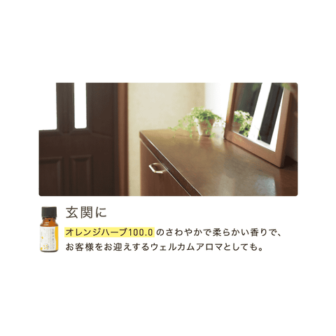 消臭アロマ オレンジハーブ100.0 10ml